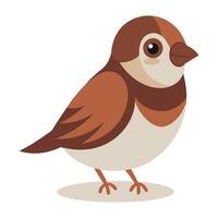 cute sparrow bird flat style isolated on white background. illustration vector