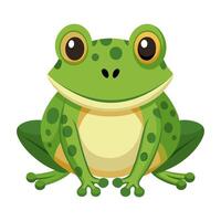 frog flat style isolated on white background. illustration vector