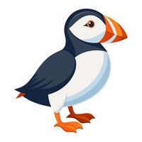 puffin bird flat style isolated on white background. illustration vector