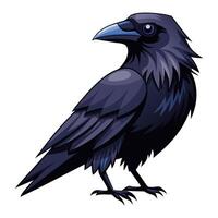 raven bird flat style isolated on white. illustration vector