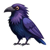 raven bird flat style isolated on white background. illustration vector