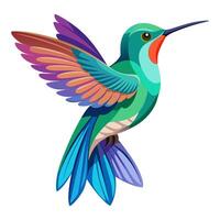 hummingbird bird flat style isolated on white background. illustration vector