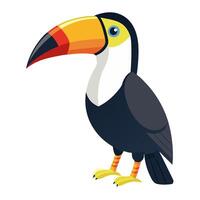 toucan flat style isolated on white background. illustration vector