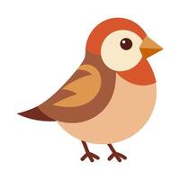 sparrow bird flat style isolated on white background. illustration vector