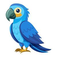 hyacinth macaw bird flat style isolated on white background. illustration vector