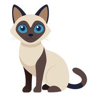 siamese cat flat style isolated on white background. illustration vector