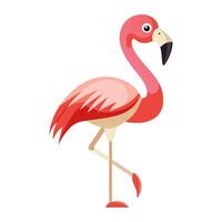 flamingo bird flat style isolated on white background. illustration vector