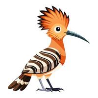 hoopoe bird flat style isolated on white background. illustration vector