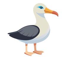 albatross bird flat style isolated on white background. illustration vector