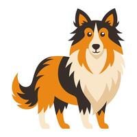 collie dog animal flat style isolated on white background. illustration vector