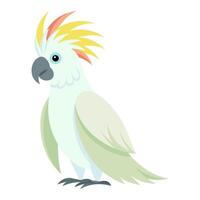 cockatoo bird flat style isolated on white background. illustration vector
