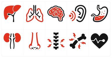 A set of 10 medical icons as hepatology, pulmonology, neurosurgery vector