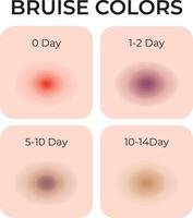 Bruise Colors Science Design Illustration Diagram vector