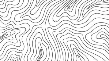 Black and white contour line art on clean backgrounds. Inspired by topographic maps, perfect for textures, modern backgrounds, and abstract design elements. vector