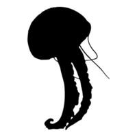 Black isolated silhouette of a sea jellyfish on a white background. Side view. Stock design. vector