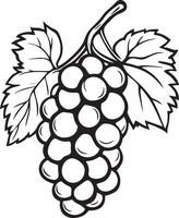 Grape fruit clean simple linear outline black vector