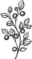 Branch with cranberries clean simple linear outline black vector