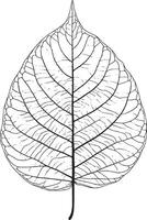 a black and white drawing of a leaf icon vector