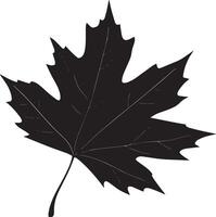 Autumn leaf clean simple silhouette black vector