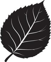 Mapble leaf clean simple icon silhouette black vector