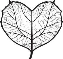 a black and white drawing of a leaf in the shape of a heart vector