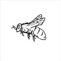 Abstract honey bee isolated illustration in black and white graphic. Flying insect etching drawing. Side view. Hand drawn element for coloring book, decor vector