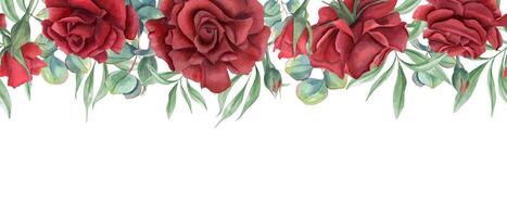 Red rose flowers and eucalyptus leaves horizontal watercolor seamless banner. Summer garden blooming deep ruby plants with greenery illustration. Copy space for text. For textile, greeting cards vector