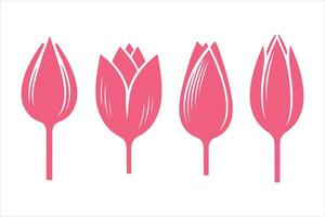 tulip flower, nature flower tulip art illustration vector
