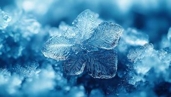Winter ice frost drop frozen snow leaf wet generated by AI photo
