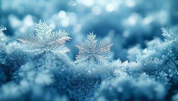 Snowflake decoration celebration frost pattern ice shiny frozen generated by AI photo