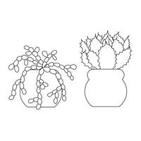 Two cute succulent cacti in doodle style. illustration isolated on white background. vector