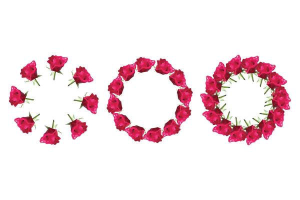 Set of rose wreaths in polygonal style. illustration isolated on white background.