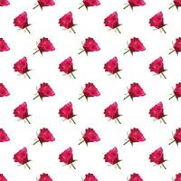 Rose in polygonal style on white background. Seamless pattern. vector
