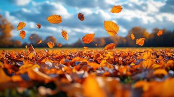 Golden leaves swirl and tumble, creating a captivating display in the crisp autumn air photo