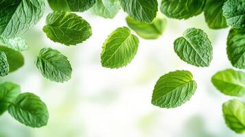 Fresh green mint leaves float softly, creating a tranquil atmosphere that's refreshing photo