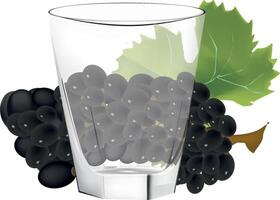 A glass with grapes and leaves on a white background vector