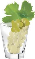Grapes in a glass vector