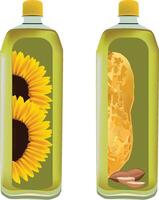 Sunflower and peanut oil in transparent plastic bottles vector