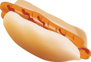 A hot dog is shown on a white background vector