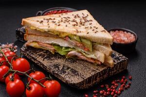 Sandwich with toast bread, meat, tomatoes, cheese, sauce, salt and spices photo