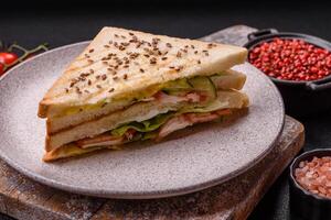 Sandwich with toast bread, meat, tomatoes, cheese, sauce, salt and spices photo