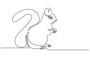 Squirrel continuous one line drawing illustration vector