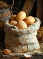 Fresh speckled eggs in a burlap sack on a farm A burlap sack holds freshly gathered speckled eggs, surrounded by rustic farm decor and straw, emphasizing a countryside atmosphere. photo