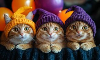 Three playful cats in party hats. Three orange tabby cats wear vibrant hats, lounging with colorful balloons in a festive atmosphere, creating a cheerful vibe. photo