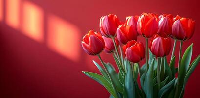 Red tulips in a modern setting with soft lighting. A vibrant bouquet of red tulips stands against a warm, red background, illuminated by soft shadows from nearby light. photo