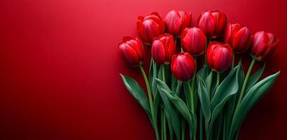 Red tulips on a bright backdrop. A vibrant bunch of red tulips with green leaves stands out against a bold red background, creating a striking visual display. photo