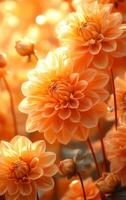 A bouquet of orange flowers with a bright, sunny background. The flowers are arranged in a way that makes them look like they are reaching towards the sky. Scene is cheerful and uplifting photo