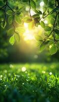 A leafy green tree with a bright sun shining on it. The sun is casting a warm glow on the leaves, creating a peaceful and serene atmosphere photo