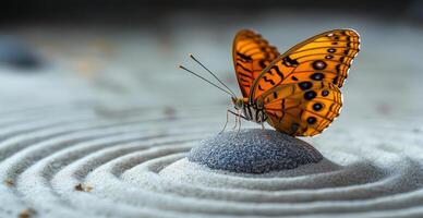 A butterfly is sitting on a rock in the sand. Concept of peace and tranquility, as the butterfly is surrounded by a calm and serene environment photo