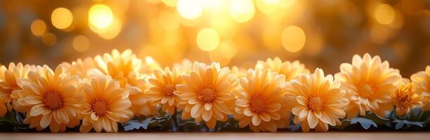 A row of yellow flowers with a blurry background. The flowers are arranged in a line and are of various sizes. Scene is peaceful and serene, as the flowers are the main focus photo
